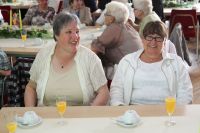 MTVGA_50 Jahre Gmnastik_0107_2015-06-07